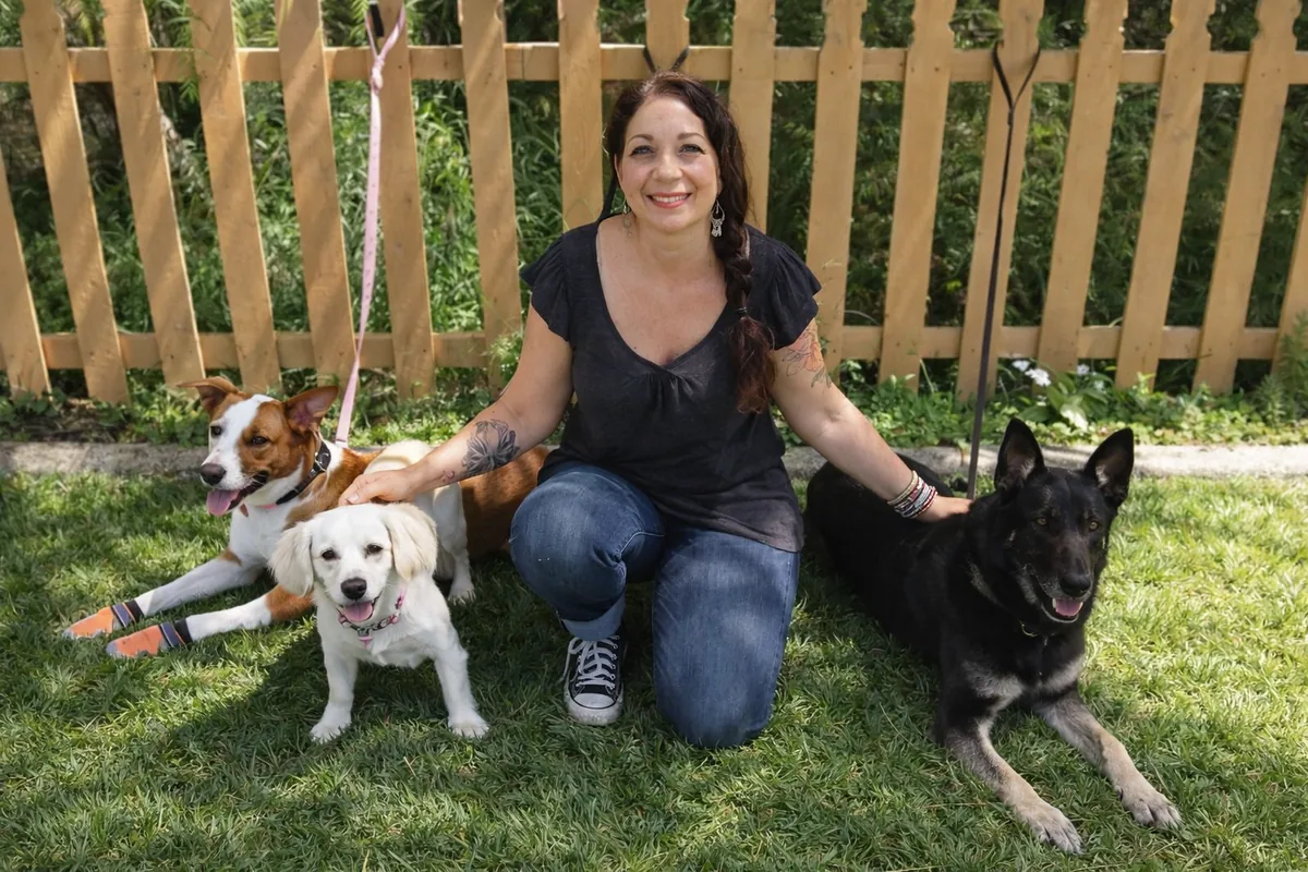 Dog trainer kneeling on the grass with three calm, relaxed dogs on leash in a fenced yard