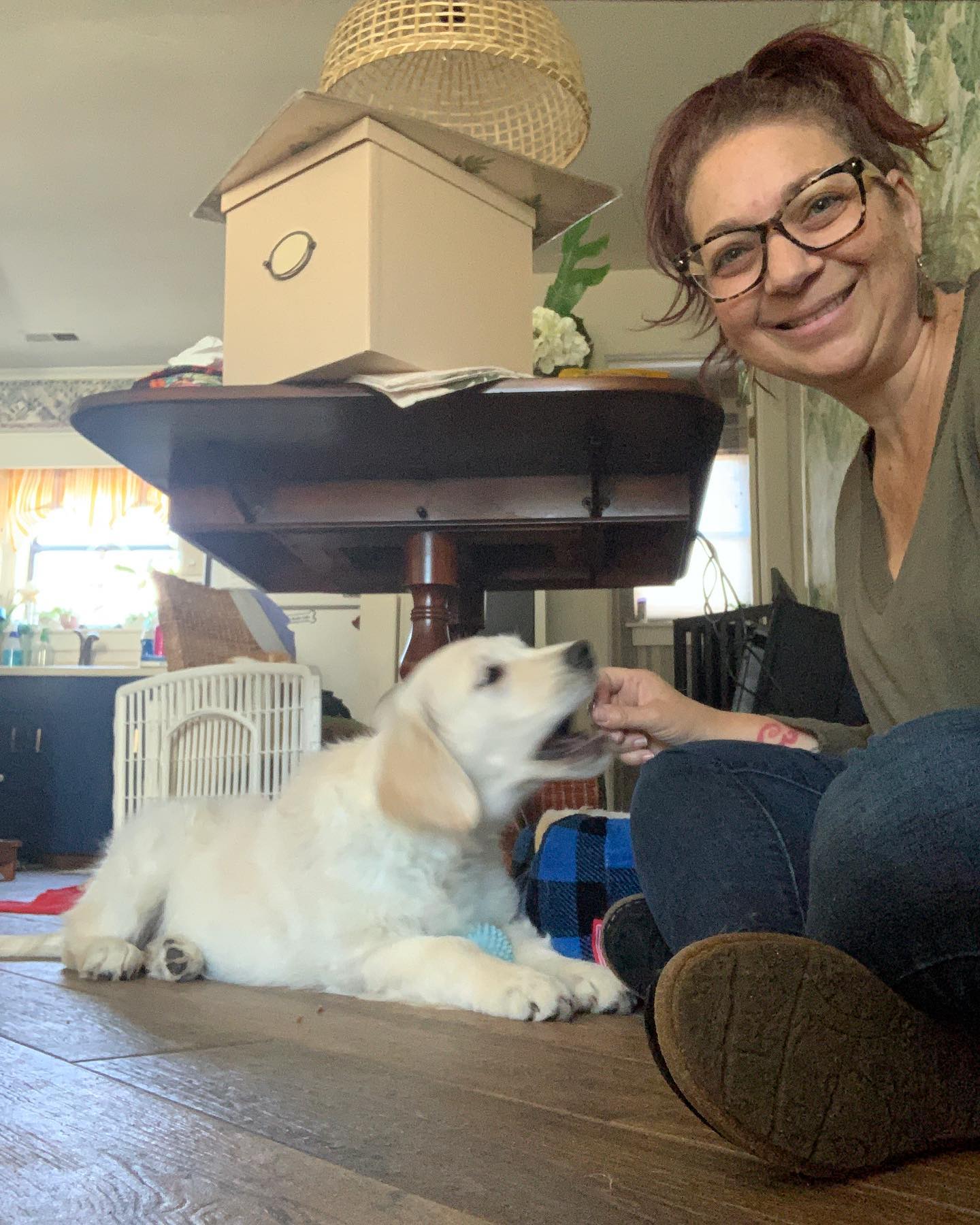 Trainer working with a puppy during a positive reinforcement training session